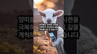 해묘미양띠 Part 4 천일성과 귀도의 만남양띠 운세사주 운명 12지지 12지신 korean 운세 유튜브쇼츠 [upl. by Sletten285]