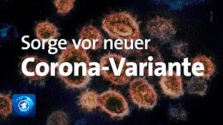 Coronavirus OmikronVariante bereitet Expertinnen Sorge [upl. by Dej]