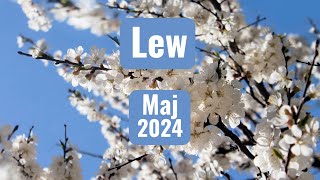 Lew  horoskop maj 2024 [upl. by Xanthus244]