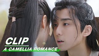 Clip Xu Waiting Me Back  A Camellia Romance EP22  许纯纯的茶花运  iQiyi [upl. by Allerbag]