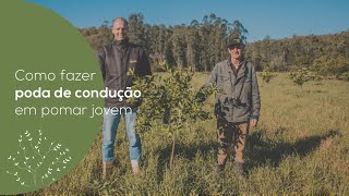 VÍDEOAULA COMO FAZER PODA DE CONDUÇÃO EM POMAR DE CITROS PÓSIMPLANTAÇÃO  ECOCITRUS [upl. by Zumstein]