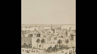 European Colonization of Somalia 18841960 [upl. by Hultin]