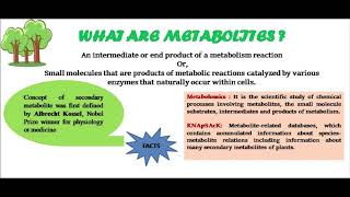 Plant Secondary Metabolites Introduction [upl. by Lasser]