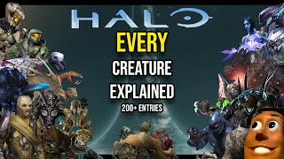 Complete Halo Bestiary  EVERY Creature in Halo Explained  Halo Lore [upl. by Renee]