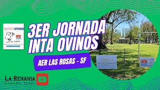 3er Jornada INTA Ovinos AER Las Rosas [upl. by Novehs]