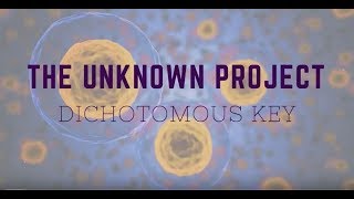 Unknown Bacteria Dichotomous Key [upl. by Ariait765]