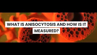 What is Anisocytosis [upl. by Sarina802]