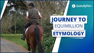 JOURNEY TO EQUIMILLION  Part 1 [upl. by Elijah]