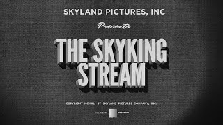 Skyking Creates Texture Experiments Ask Skyking Friday Lets Play [upl. by Treblihp]