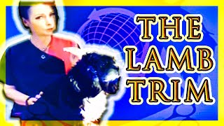 The Lamb Trim Grooming Guide The American Cocker Spaniel with EXPERT Shaunna Bernardin [upl. by Nirehtak]