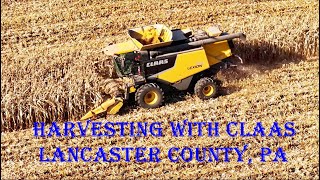 CLAAS LEXION 730 Harvesting Corn in Lancaster County Pennsylvania [upl. by Weingartner81]