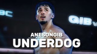 AnEsonGib UNDERDOG  Boxing Documentary [upl. by Phyllys656]