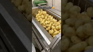 Peeler potato ytshorts ytshortsindia ytviral dehlistreetfood gurudwara amritsar langar [upl. by Anwahsat362]