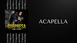 Arcángel amp De La Ghetto  Sorpresa Acapella [upl. by Felten]