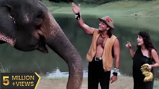 Safari Full Movie HD सफारी पूरी मूवी 1999 Sanjay Dutt Superhit Hindi 90s Film Juhi Chawla Tanuja [upl. by Imuya]