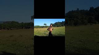 Running Best body action sortvideo runningmotivation [upl. by Alasdair528]