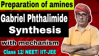 Gabriel Phthalimide synthesis with mechanism 06  Preparation of amines  Class 12 NEET IITJEE [upl. by Cirted]