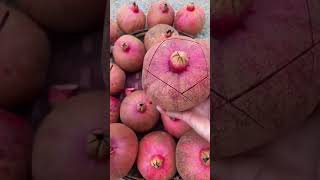 Amazing pomegranate cutting skills  the pomegranate cutting style shorts pomegranate cutting [upl. by Steck]