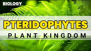 Pteridophyte  General characters  Educational info  Biology [upl. by Joost]