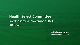 Health Select Committee 20 November 2024 1030am [upl. by Aivatnwahs853]