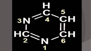 acidos nucleicos y nucleotidos [upl. by Otrevogir]