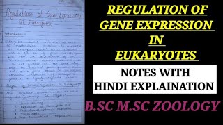 REGULATION OF GENE EXPRESSION IN EUKARYOTES HINDI EXPLAIN regulationingeneexpressionineukayote [upl. by Cirenoj650]