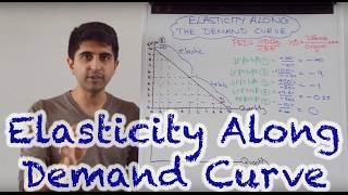 Y1 42 Elasticity Along The Demand Curve [upl. by Bittner]