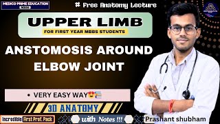 Anastomosis around the Elbow joint  Upper Limb Anatomy  Medico Prime Education mbbs [upl. by Aihsemot]