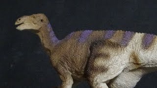 Iguanodon 2016 Wild Safari LTD Toys Dinosaur Action Figure Review [upl. by Asselim]