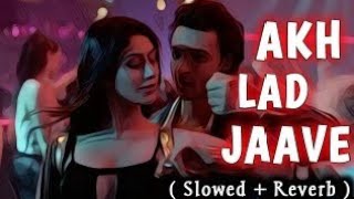 Akh Lad Jaave  slowed reverb  Loveyatri  Asees Kaur  Jubin Nautiyal Badshah  lofi song [upl. by Siddon]