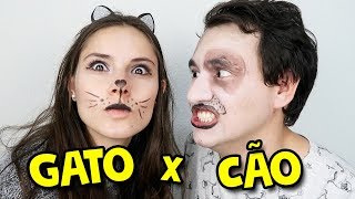 GATO X CACHORRO I Falaidearo [upl. by Aubert]