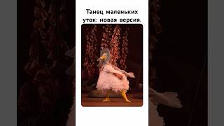 Танец маленьких уток новая версия «Сказки Беатрис Поттер» «The tales of Beatrix Potter» [upl. by Yong]