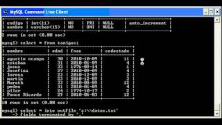 tutorial mysql exportacion de datos en mysql sobre Ms Windows [upl. by Bloem]