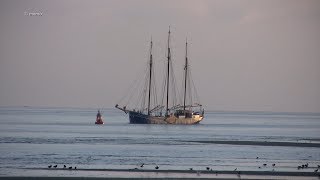 2 Beer  Terschelling Wadden Sea  20190717 [upl. by Aisila222]