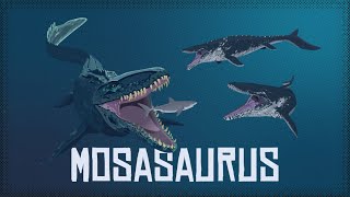 How Scientifically Accurate is the Jurassic World MOSASAURUS [upl. by Tompkins546]