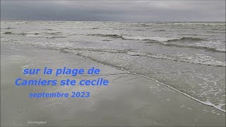 ON THE BEACH  CAMIERS 62 MAREE BASSE 10 09 2023 [upl. by Ranzini]