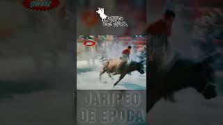 ESPUELITA DE TICUMAN VS CUPIDO jaripeodeepoca [upl. by Morey690]