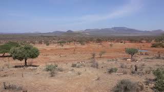 View from Kilaguni Serana Lodge Tsavo West National Park Kenya October 2022 [upl. by Kokoruda]