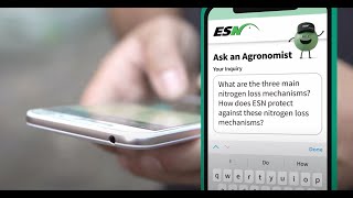 Ask An Agronomist What Are The Main Ways We Lose Nitrogen [upl. by Broddy]