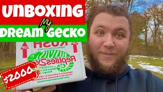 UNBOXING the future of my GECKO BREEDING BUSINESS EXPENSIVE [upl. by Rochus710]