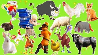 Farm Animals Sounds for Kids [upl. by Ailee610]