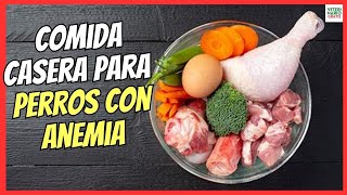 🐶 COMIDA CASERA PARA PERROS CON ANEMIA 🐶 ALIMENTOS CON MÁS HIERRO Y VITAMINA C [upl. by Eenttirb192]