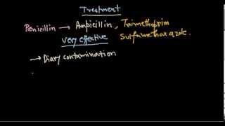 Listeria monocytogenes treatment [upl. by Nylhsa]