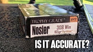 Nosler Partition Trophy Grade 308 165gr Is It Accurate [upl. by Walter604]