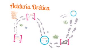 ACIDURIA ORÓTICA [upl. by Shishko]