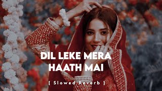 Dil Leke Mera Haath Mein  Slowed amp Reverb [upl. by Lamraj840]