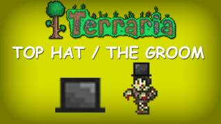 Terraria  Top Hat The Groom [upl. by Notserp917]