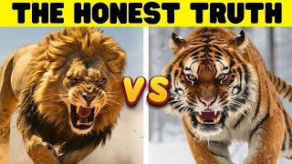 SIBERIAN TIGER vs LION  One Key Difference [upl. by Hna921]