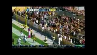 Hines Ward Career Highlight [upl. by Enomar175]