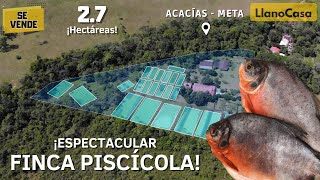 ¡SUPER FINCA PISCÍCOLA ACACÍAS  Meta  Colombia [upl. by Heida]